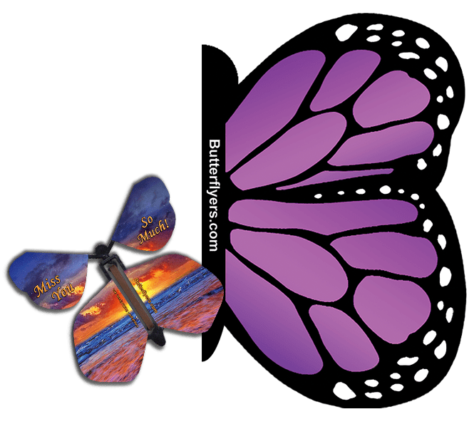 Purple Monarch Exploding Butterfly Card with Miss You Much wind up flying butterfly from butterflyers.com