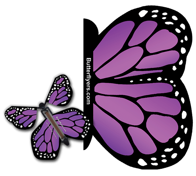 Purple Monarch Exploding Butterfly Card with Purple Monarch wind up flying butterfly from butterflyers.com