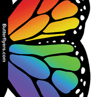 Front Side of Rainbow Monarch Exploding Butterfly Card from butterflyers.com