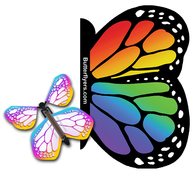 Rainbow Exploding Butterfly Card with Bismuth Monarch wind up flying butterfly from butterflyers.com