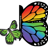 Rainbow Exploding Butterfly Card with Green Monarch wind up flying butterfly from butterflyers.com