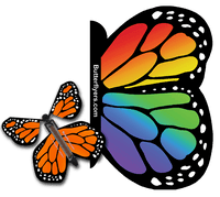 
              Rainbow Exploding Butterfly Card with Orange Monarch wind up flying butterfly from butterflyers.com
            