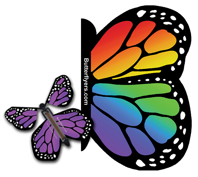 Rainbow Exploding Butterfly Card with Purple Monarch wind up flying butterfly from butterflyers.com