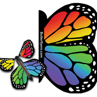 Rainbow Monarch Exploding Butterfly Card with Rainbow Monarch wind up flying butterfly from butterflyers.com