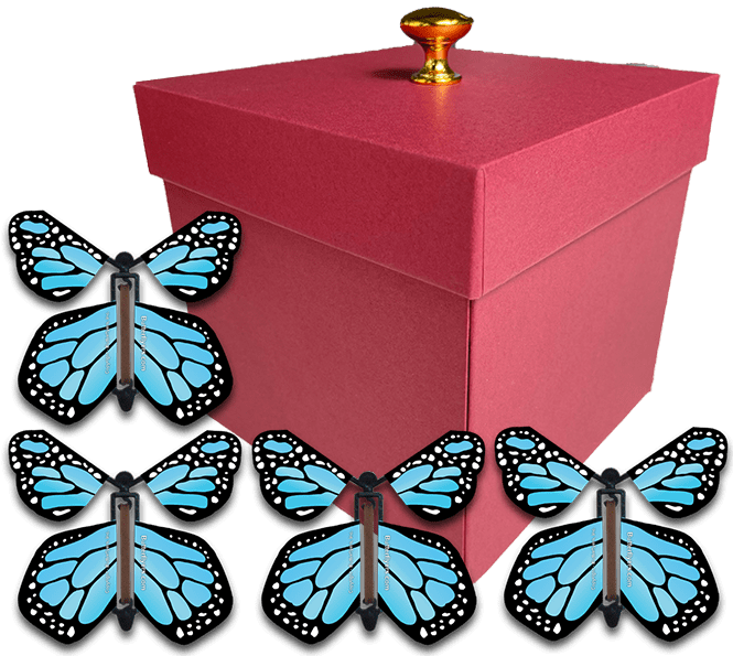 Red Exploding Gender Reveal Box With Blue Monarch Flying Butterflies From Butterflyers.com