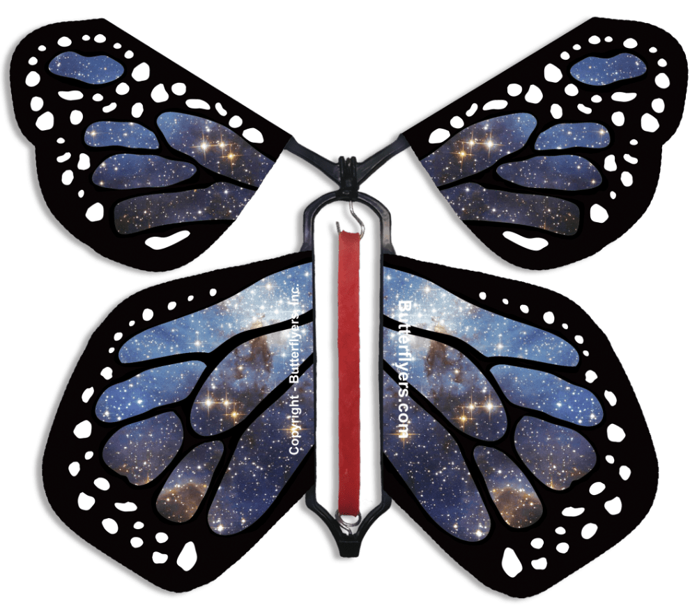 terry butterfly galactic