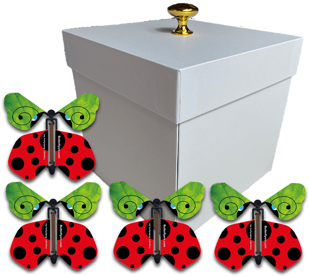 White Easter Exploding Butterfly Gift Box With 4 Ladybug Wind Up Flying Butterflies from butterflyers.com