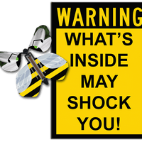 Warning Greeting Card with Bumble Bee wind up flying butterfly from butterflyers.com