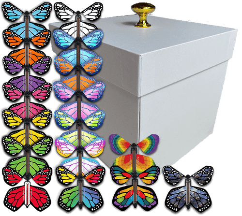 White Exploding Butterfly Gift Box With 4 Wind Up Flying Monarch Butterflies from butterflyers.com
