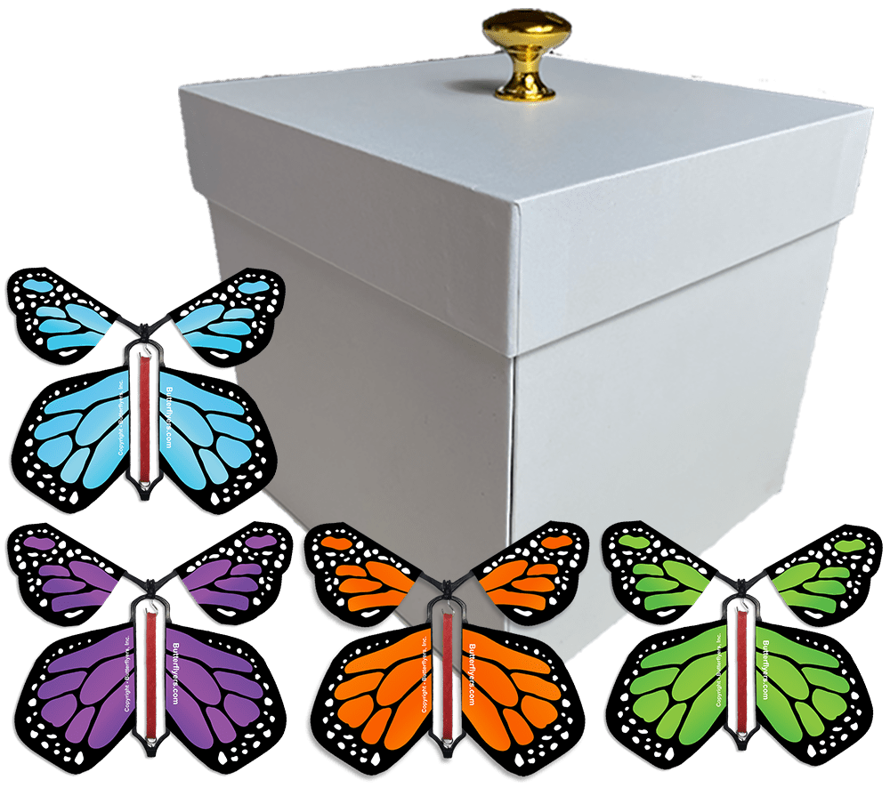 White Exploding Butterfly Gift Box With 4 Multi Color Monarch Wind Up Flying Butterflies from butterflyers.com