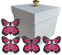 
              White Exploding Gender Reveal Box With Pink Monarch Flying Butterflies From Butterflyers.com
            