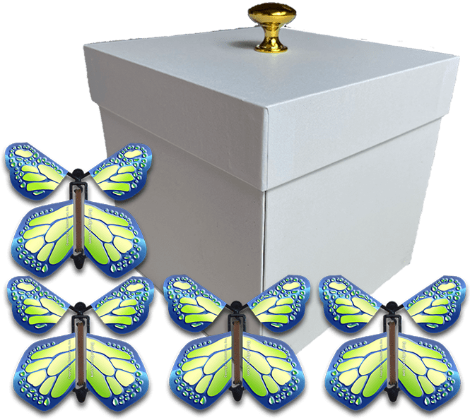 White Exploding Butterfly Gift Box With 4 Cobalt Green Wind Up Flying Butterflies from butterflyers.com