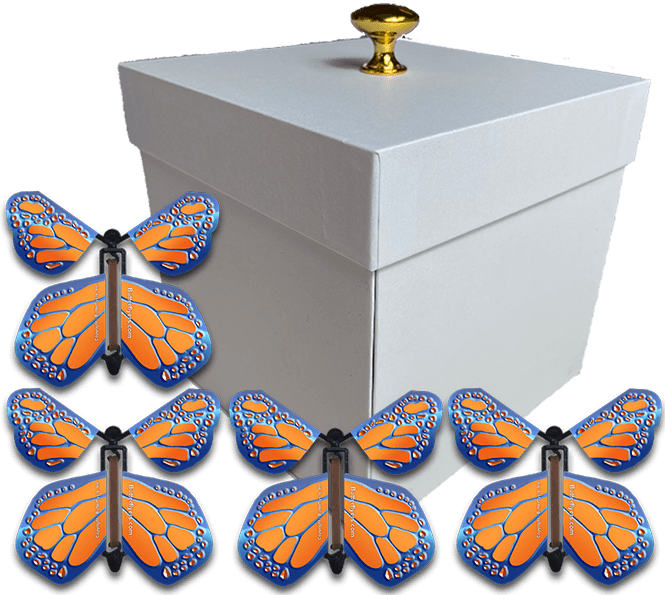 White Exploding Butterfly Gift Box With 4 Cobalt Orange Wind Up Flying Butterflies from butterflyers.com