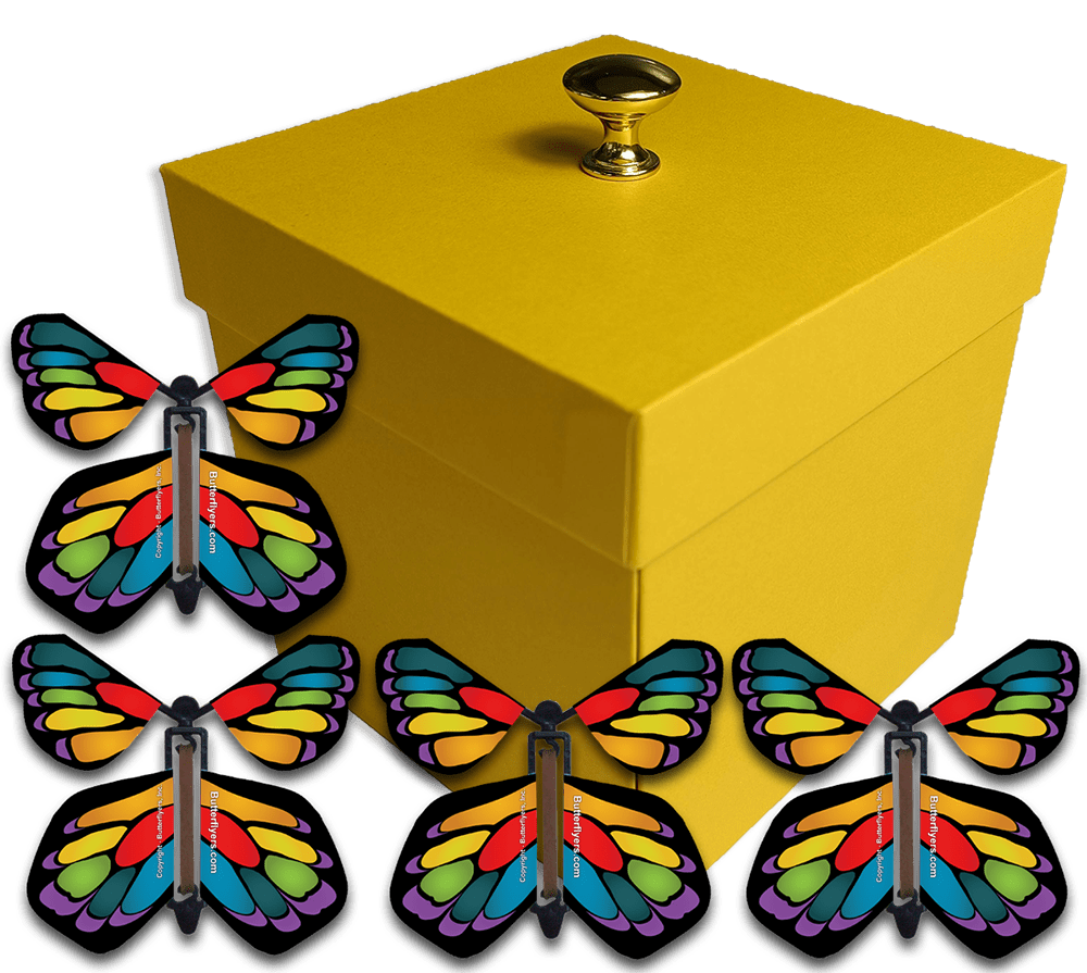 10 PCS Magic Wind Up Flying Butterfly Surprise Box Explosion Box in The  Book Ts