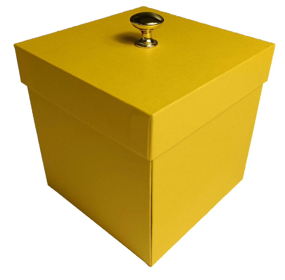 Yellow Birthday Exploding Butterfly Box With 4 Wind Up Flying Butterflies from butterflyers.com