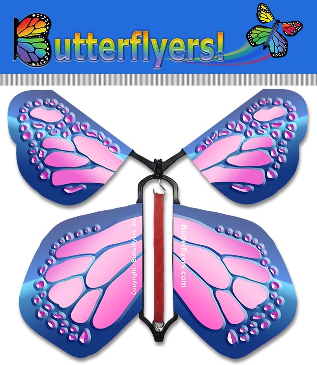 Packaged Cobalt Pink Wind Up Flying Butterfly For Greeting Cards by Butterflyers.com