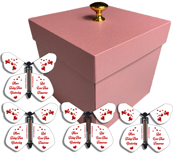 Pink Mother's Day Exploding Butterfly Gift Box With More Today Than Yesterday Wind Up Flying Butterflies from butterflyers.com