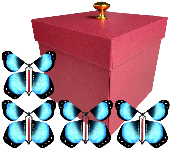 Red Exploding Gender Reveal Box With Blue Shimmer Flying Butterflies From Butterflyers.com