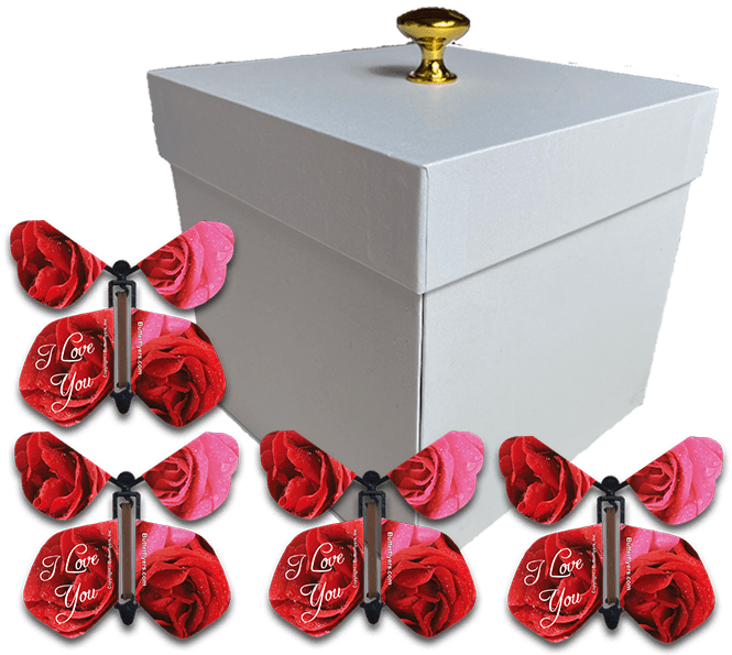 White Valentines Day Exploding Butterfly Box With I Love You Wind Up Flying Butterflies from butterflyers.com