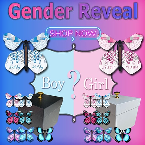 Gender Reveal Butterfly Boxes and Wind Up Flying Butterflies from butterflyers.com