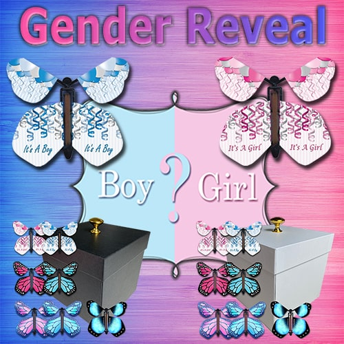 Gender Reveal Butterfly Boxes and Wind Up Flying Butterflies from butterflyers.com