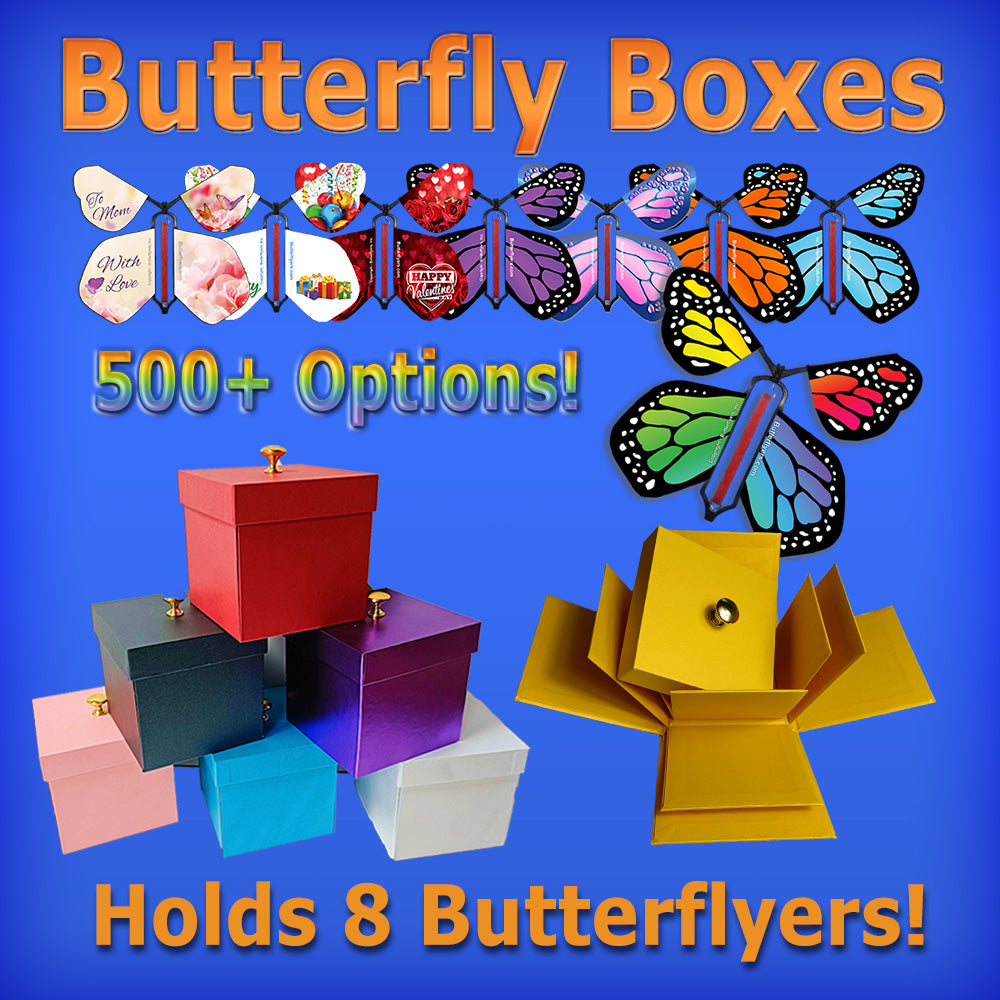 Explosion Butterfly Boxes & wind up flying butterflies from butterflyers.com