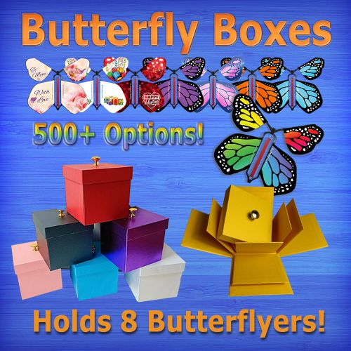 Explosion Butterfly Boxes & wind up flying butterflies from butterflyers.com