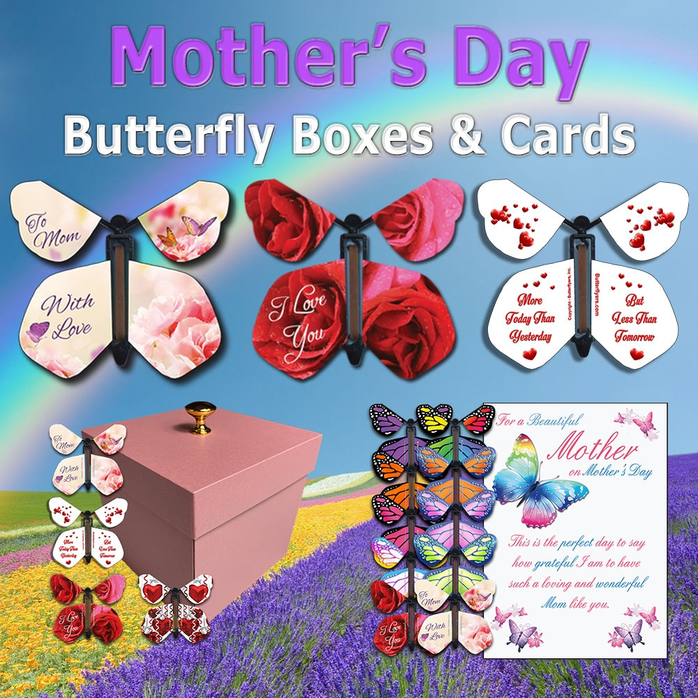 Mother's Day Flying Butterfly Boxes & Greeting Cards With Flying Butterflies From Butterflyers.com