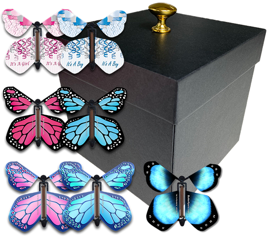 Gender Reveal Flying Butterfly Box - Black Box With 4 Wind Up Flying Butterflies From Butterflyers.com