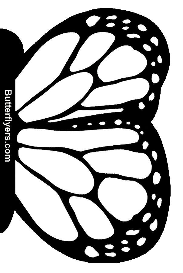 White Monarch Butterfly Greeting Card (CARD ONLY)