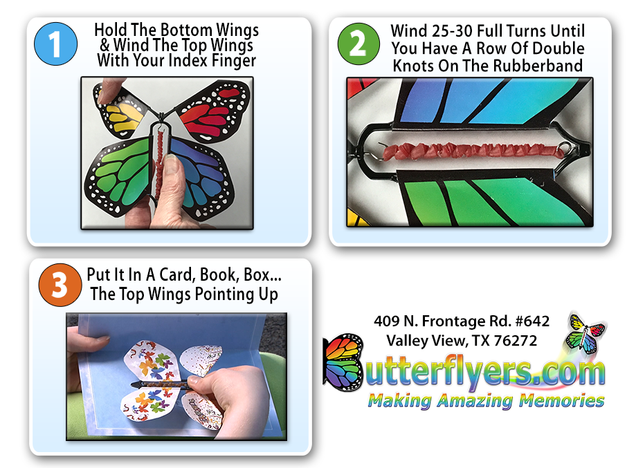 Rare Butterfly Cocoon Greeting Card With Surprise Wind Up Flying Butterfly