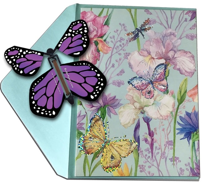 Blank Butterfly greeting card with Purple monarch flying butterfly from butterflyers.com