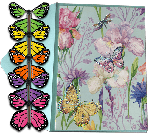 Blank Butterfly greeting card with wind up flying butterfly from butterflyers.com