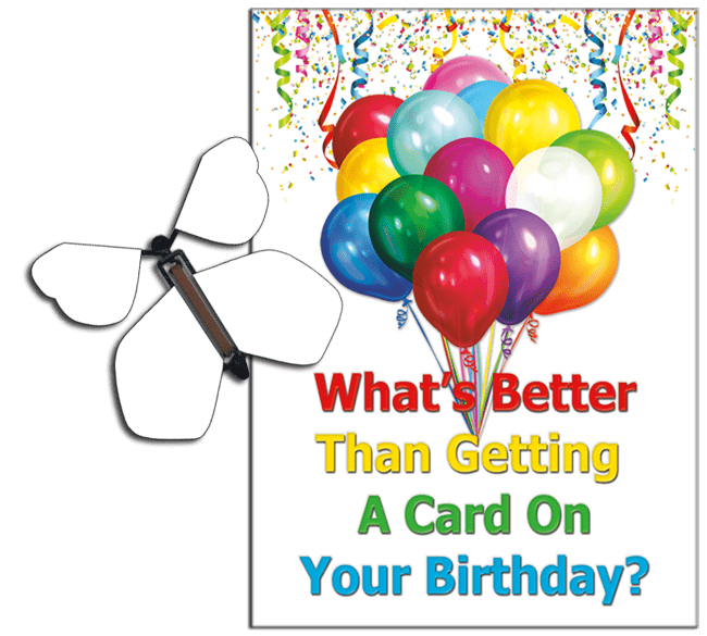 Birthday Greeting Card with Blank Birthday wind up flying butterfly from butterflyers.com