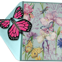 Blank Butterfly greeting card with Pink monarch flying butterfly from butterflyers.com