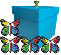 
              Blue Easter Exploding Butterfly Gift Box With 4 Rainbow Monarch Wind Up Flying Butterflies from butterflyers.com
            