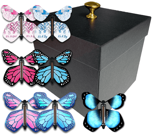 Black Exploding Butterfly Box With Gender Reveal Flying Butterflies From Butterflyers.com