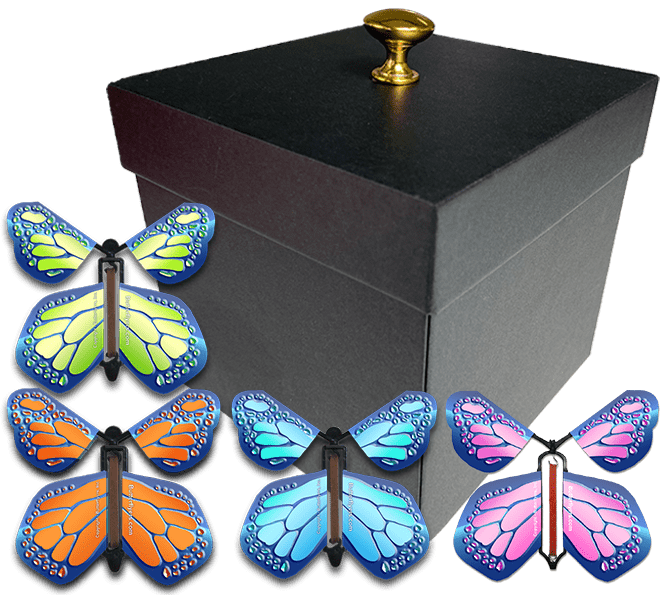 Black Exploding Butterfly Gift Box With 4 Multi Metal Color Wind Up Flying Butterflies from butterflyers.com