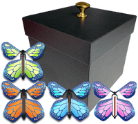 
              Black Exploding Butterfly Gift Box With 4 Multi Metal Color Wind Up Flying Butterflies from butterflyers.com
            