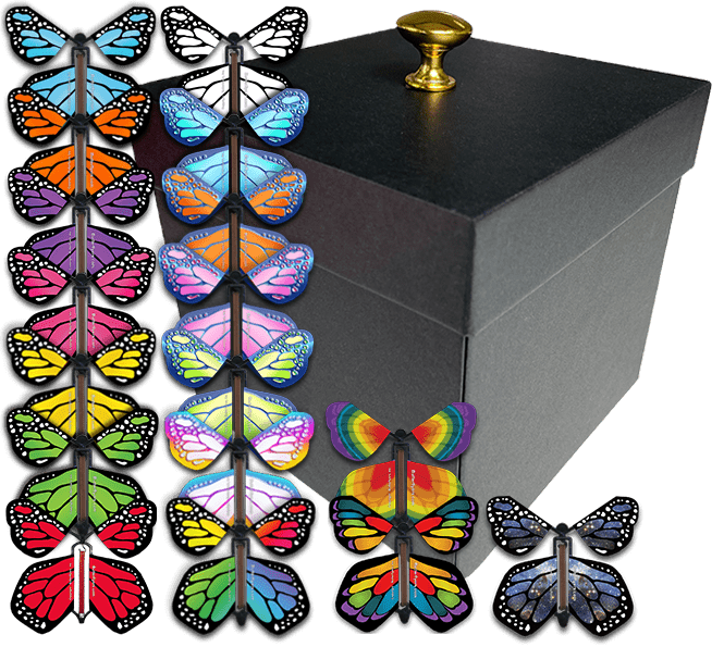 Fly Gift Box Surprise Flying Butterfly Gift Boxes – Butterflyers