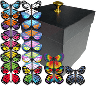 
              Black Exploding Butterfly Gift Box With 4 Wind Up Flying Monarch Butterflies from butterflyers.com
            