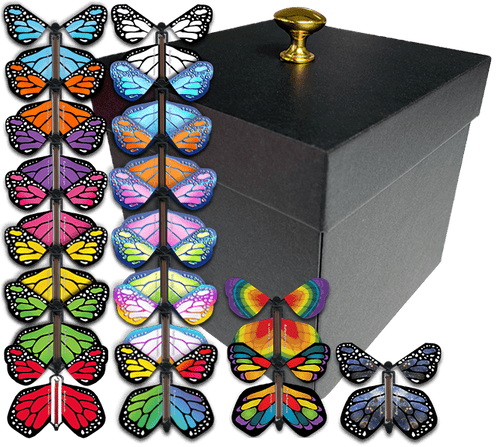Black Exploding Butterfly Gift Box With 4 Wind Up Flying Monarch Butterflies from butterflyers.com