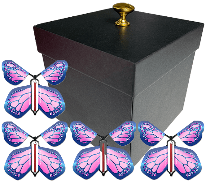 Black Exploding Butterfly Gift Box With 4 Cobalt Pink Wind Up Flying Butterflies from butterflyers.com