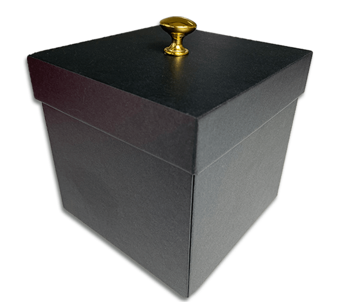 Black Exploding Butterfly Gift Box from Butterflyers.com