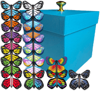 
              Blue Exploding Butterfly Gift Box With 4 Wind Up Flying Monarch Butterflies from butterflyers.com
            