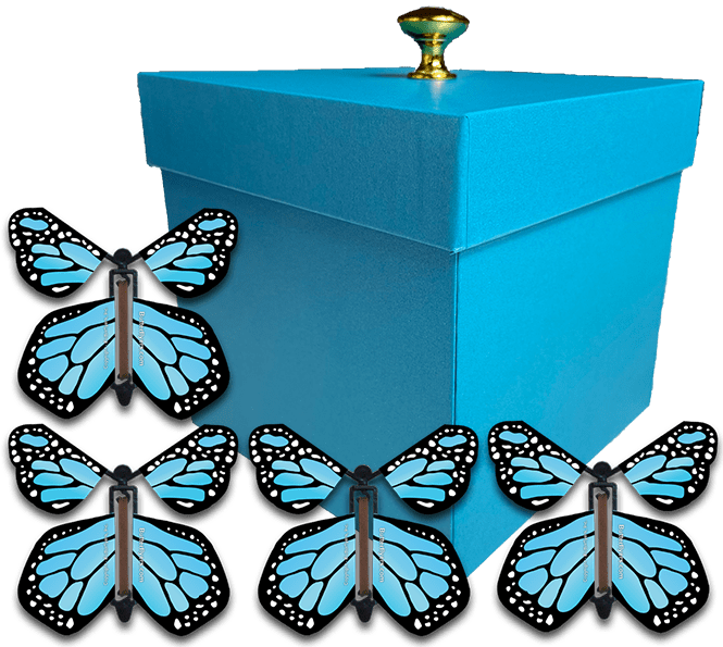 Blue Exploding Gender Reveal Box With Blue Monarch Flying Butterflies From Butterflyers.com