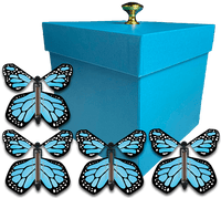 
              Blue Exploding Gender Reveal Box With Blue Monarch Flying Butterflies From Butterflyers.com
            