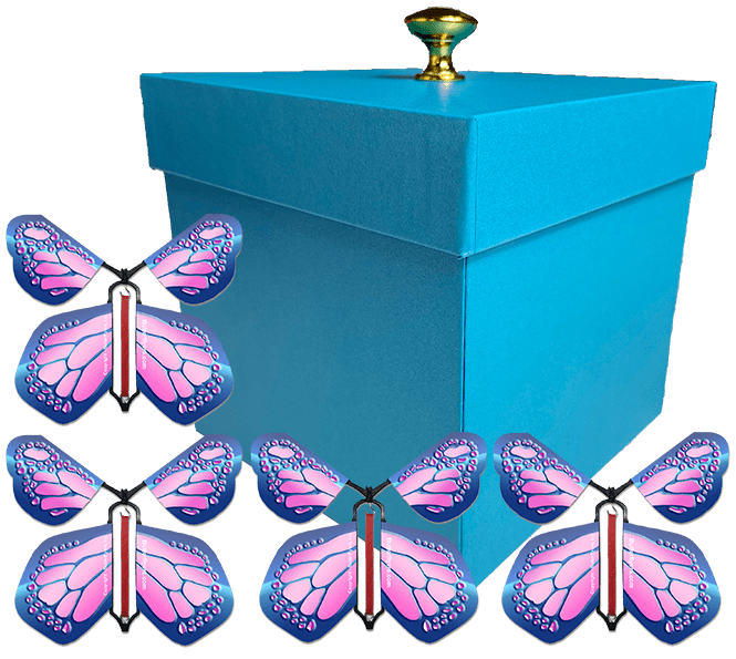 Blue Exploding Gender Reveal Box With Cobalt Pink Flying Butterflies From Butterflyers.com