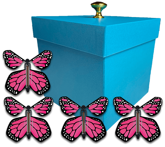 Blue Exploding Gender Reveal Box With Pink Monarch Flying Butterflies From Butterflyers.com