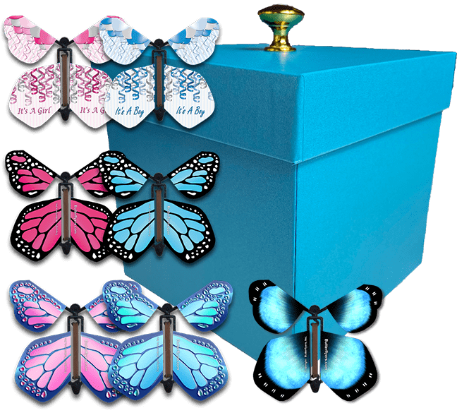 Fly Gift Box Surprise Flying Butterfly Gift Boxes – Butterflyers